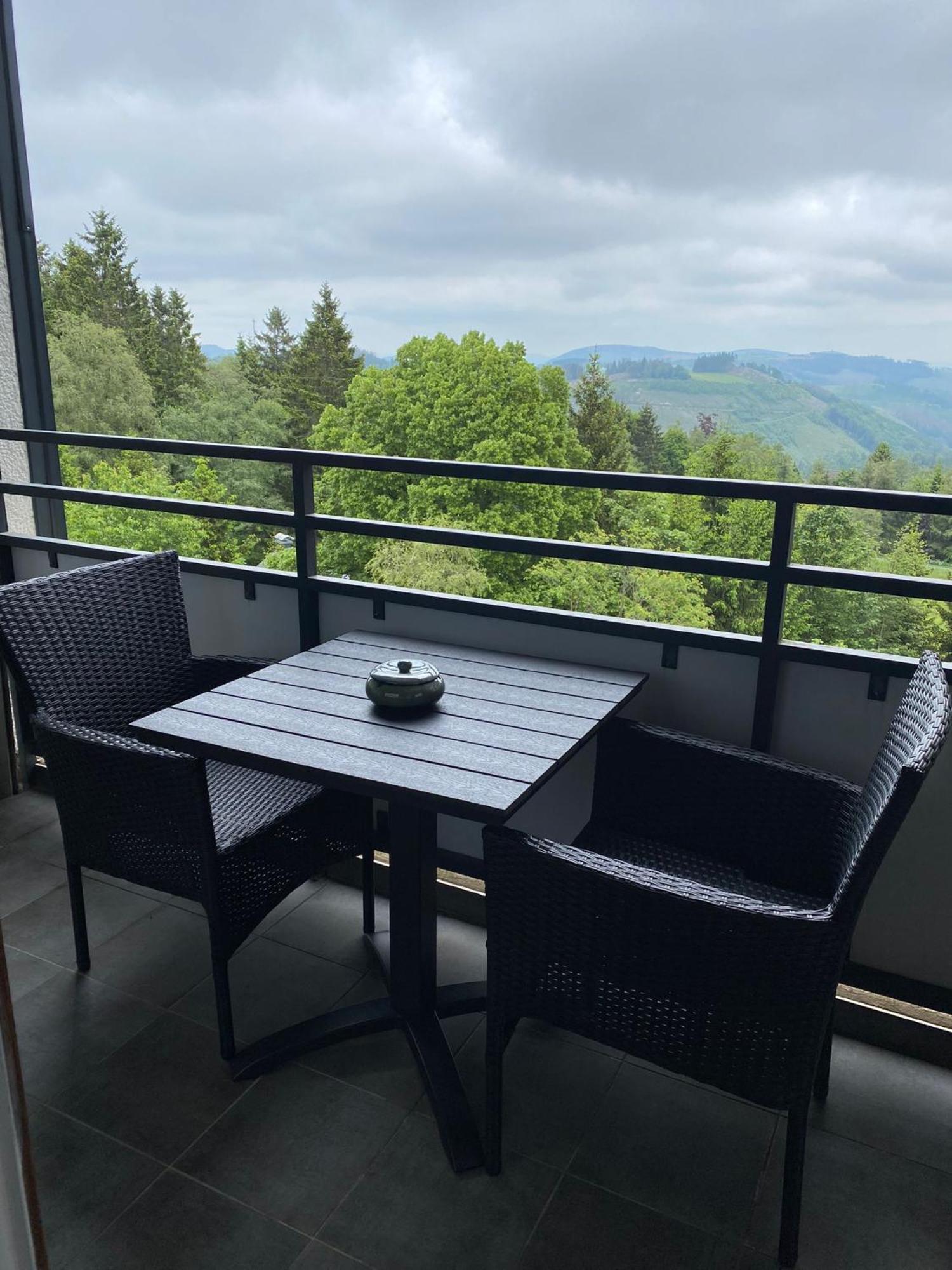 Apartment Bergluft Winterberg Am Bikepark, Skilift, Ssc Εξωτερικό φωτογραφία